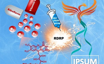 Studenckie i Doktoranckie Koło Naukowe Inżynierii Chemicznej i Farmaceutycznej "IPSUM"